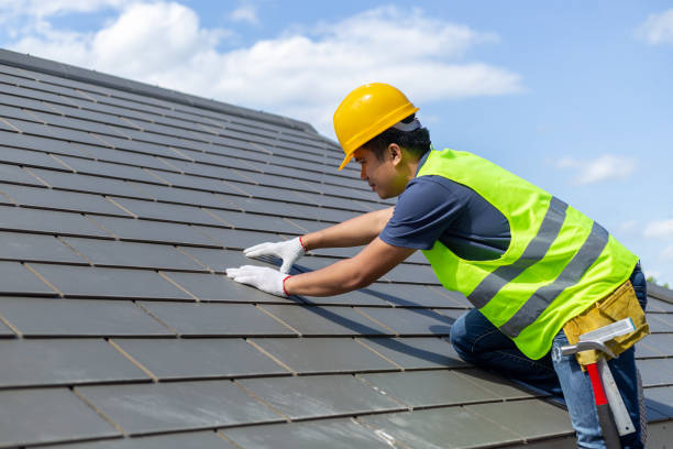 Best Roof Gutter Cleaning  in Carterville, MO