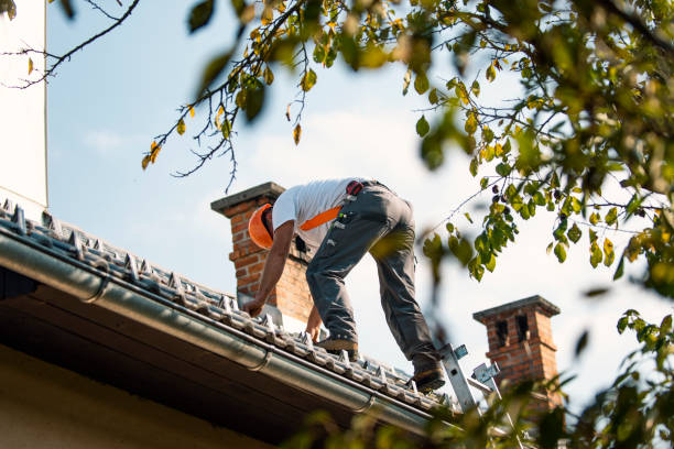 Best Storm Damage Roof Repair  in Carterville, MO