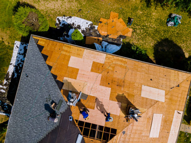 Roof Waterproofing Services in Carterville, MO
