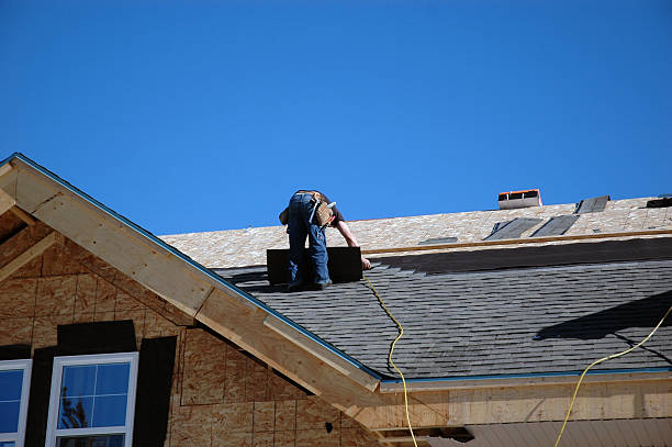 Best Metal Roofing Contractor  in Carterville, MO