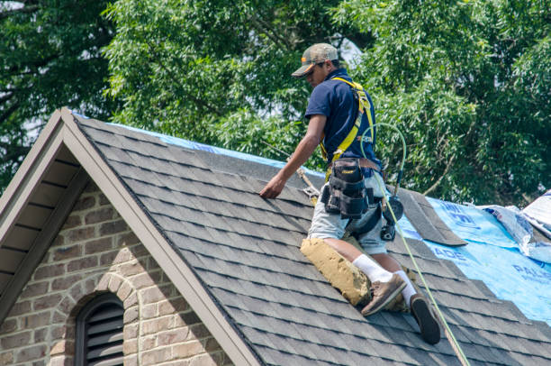 Gutter Installation and Roofing in Carterville, MO